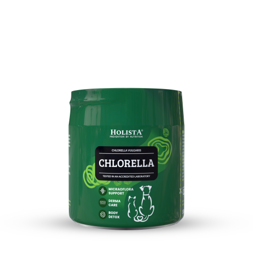 Chlorella dla psa i kota