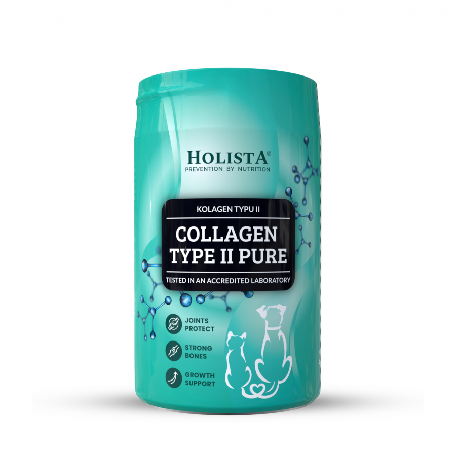 Holista Olej z Łososia 1000ml + Kolagen typu II 200g