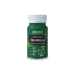 Chlorella 90 tabletek