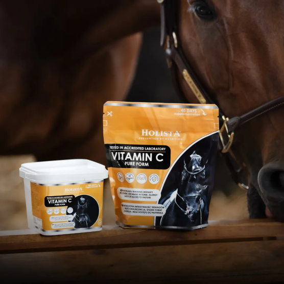 Witamina C 600g wsparcie odporności i aparatu ruchu