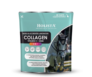 Kolagen 3w1 Vit C + MSM 600g wzmocnienie struktury ścięgien i stawów