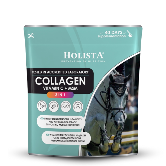 Kolagen 3w1 Vit C + MSM 600g wzmocnienie struktury ścięgien i stawów