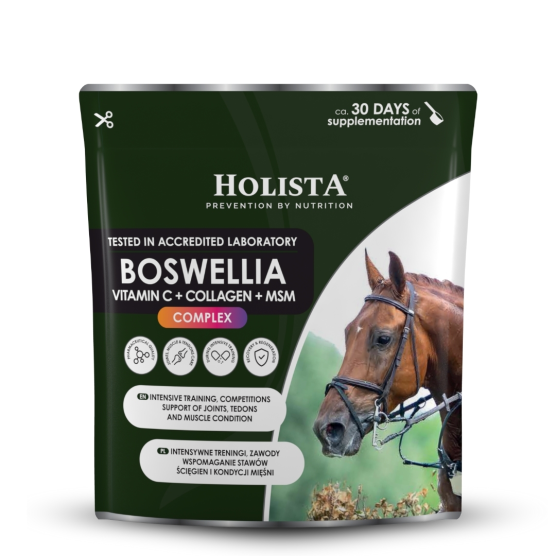 Boswellia Serrata Complex 500g regeneracja stawów