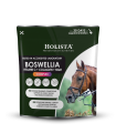Boswellia Serrata Complex 500g regeneracja stawów