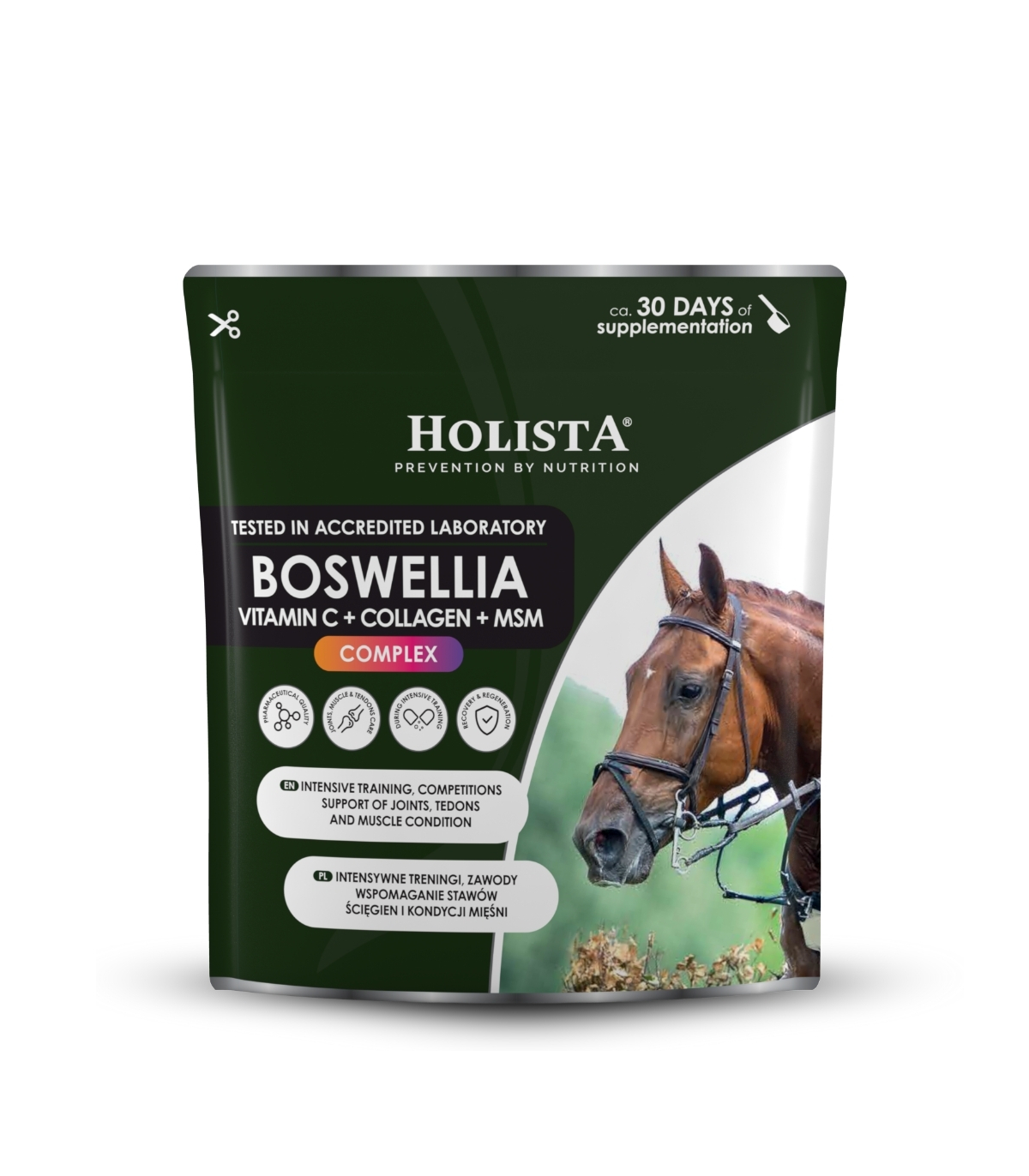 Boswellia Serrata Complex 500g regeneracja stawów