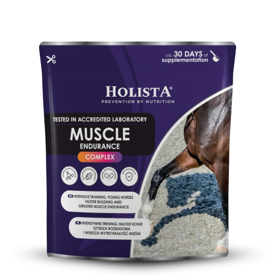 Muscle Endurance Complex 400g rozbudowa mięśni