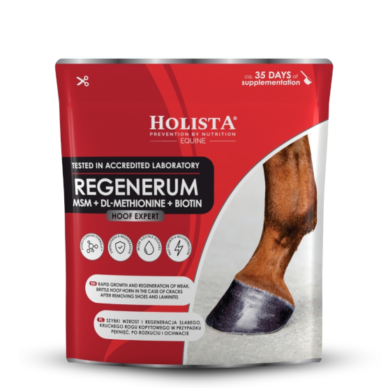Hoof Expert Regenerum 1000g szybki wzrost i regeneracja kopyt