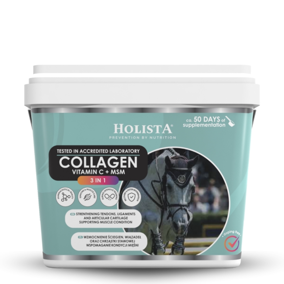 copy of copy of copy of copy of copy of copy of Witamina C 600g wsparcie odporności i aparatu ruchu