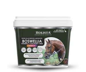 Boswellia Serrata Complex 1000g regeneracja stawów