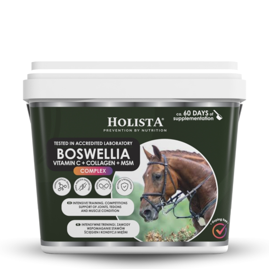 Boswellia Serrata Complex 1000g regeneracja stawów