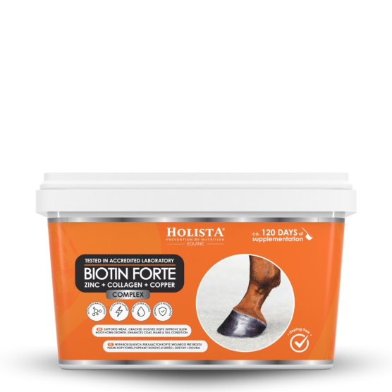 copy of copy of copy of copy of copy of copy of copy of copy of copy of copy of copy of copy of copy of copy of copy of copy of