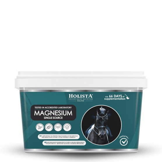 copy of copy of copy of copy of copy of copy of copy of copy of copy of copy of copy of copy of copy of copy of copy of copy of