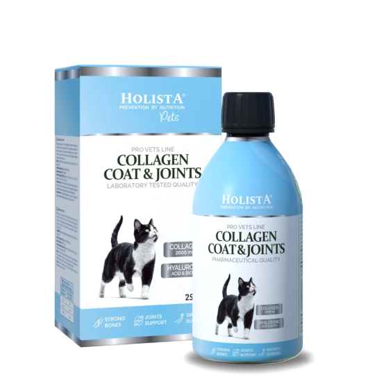 Kolagen w płynie dla kota Cat Collagen Coat & Joints 250ml