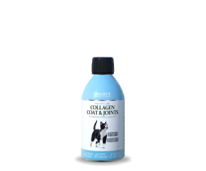 Kolagen w płynie dla kota Cat Collagen Coat & Joints 100ml