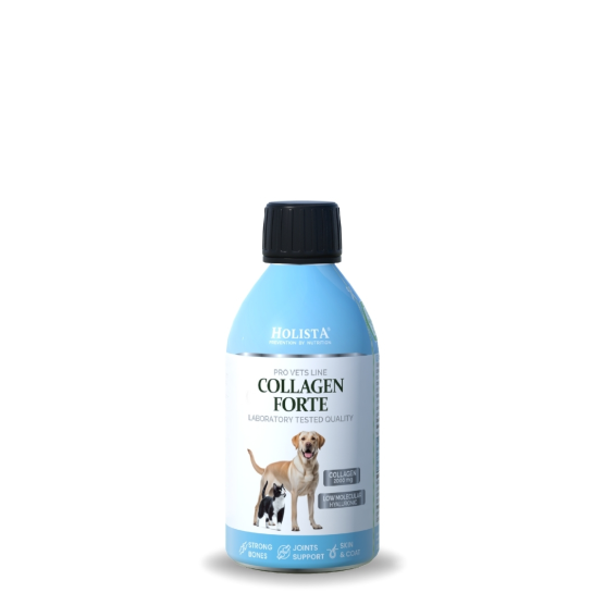 Kolagen w płynie dla psa i kota Collagen Forte 100ml