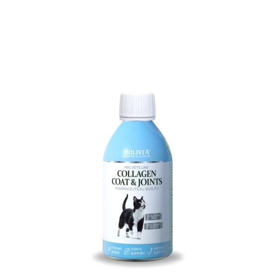 copy of copy of HolistaPets Green Lipped Mussels 100g