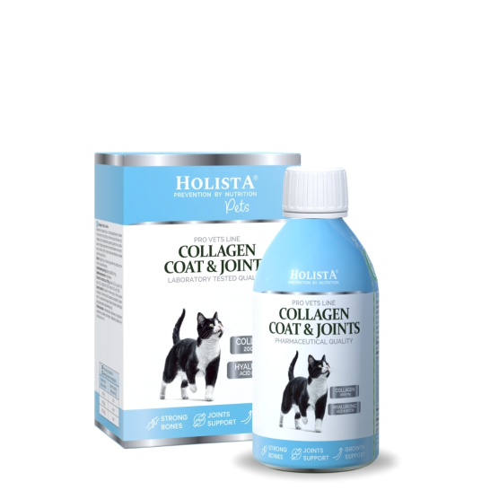 Kolagen w płynie dla kota Cat Collagen Coat & Joints 100ml