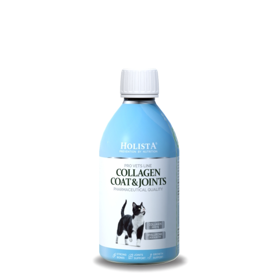 Kolagen w płynie dla kota Cat Collagen Coat & Joints 250ml