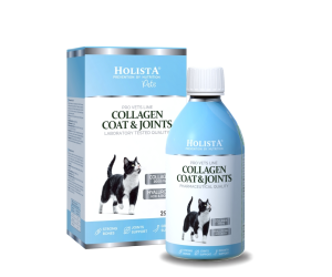 copy of copy of copy of HolistaPets Green Lipped Mussels 100g