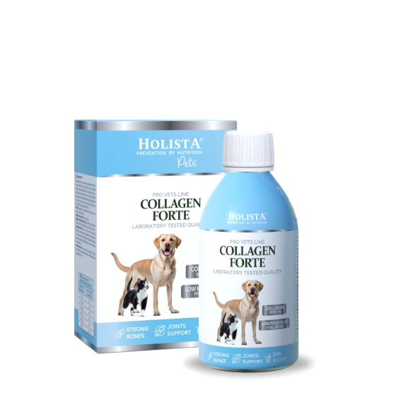 copy of copy of copy of HolistaPets Green Lipped Mussels 100g