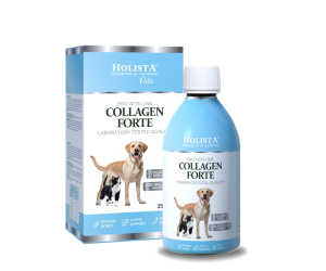 copy of copy of copy of copy of HolistaPets Green Lipped Mussels 100g