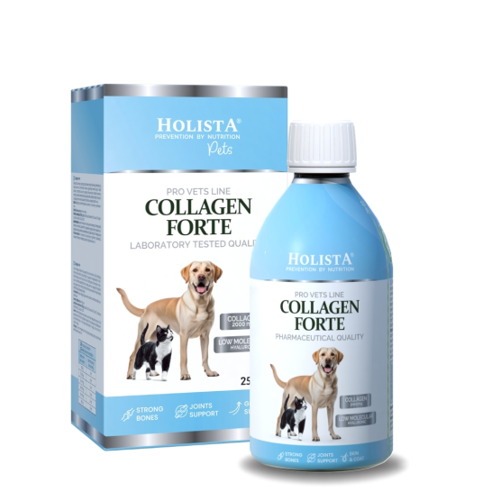 copy of copy of copy of copy of HolistaPets Green Lipped Mussels 100g