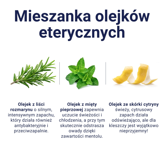 Spray spacerowy 100ml Holista