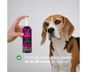 Spray spacerowy 100ml Holista
