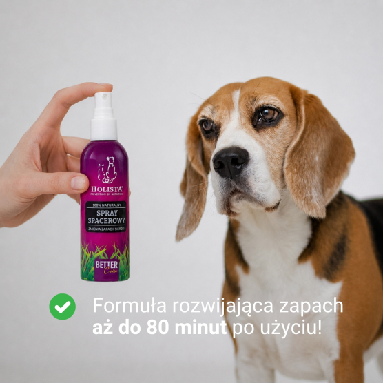 Holista Spray spacerowy 100ml + Cistus 90 tab.