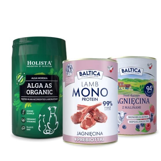 Karma mokra dla psa Jagnięcina Monoproteina 400g + Jagnięcina z malinami 400g