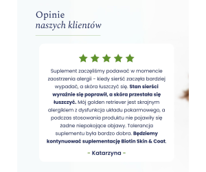 Biotin Skin & Coat - Biotyna na skórę i sierść 90 tabletek - Holista Pets