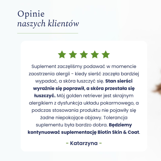 Biotin Skin & Coat - Biotyna na skórę i sierść 90 tabletek - Holista Pets