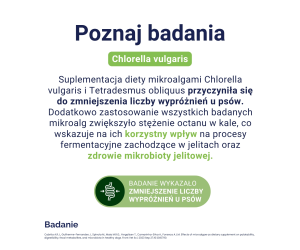 Chlorella 90 Tabl.