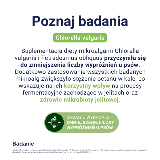 Chlorella 90 Tabl.