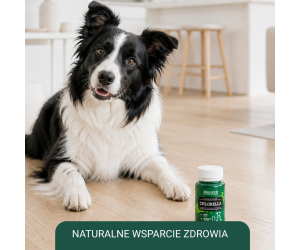 Chlorella 90 Tabl.