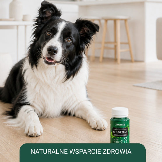 Chlorella 90 Tabl.