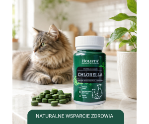 Chlorella 90 tabletek