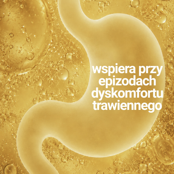 Gastro Help 4+1 tabletka GRATIS - łagodzi dyskomfort trawienny psów i kotów