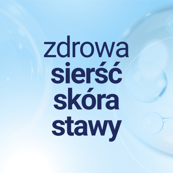Kolagen w płynie dla psa i kota Collagen Forte 1000ml