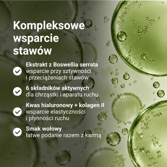 Syrop na stawy dla psa i kota ArthroPet Theraphy 1000ml
