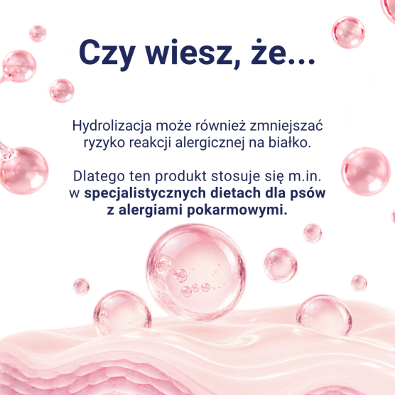 copy of Collagen Type II PURE 200g