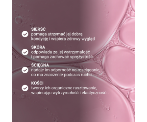 copy of Collagen Type II PURE 200g