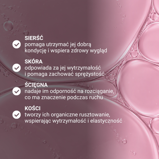 Kolagen typu I dla psa i kota - Hydrolizat kolagenu z Tilapii