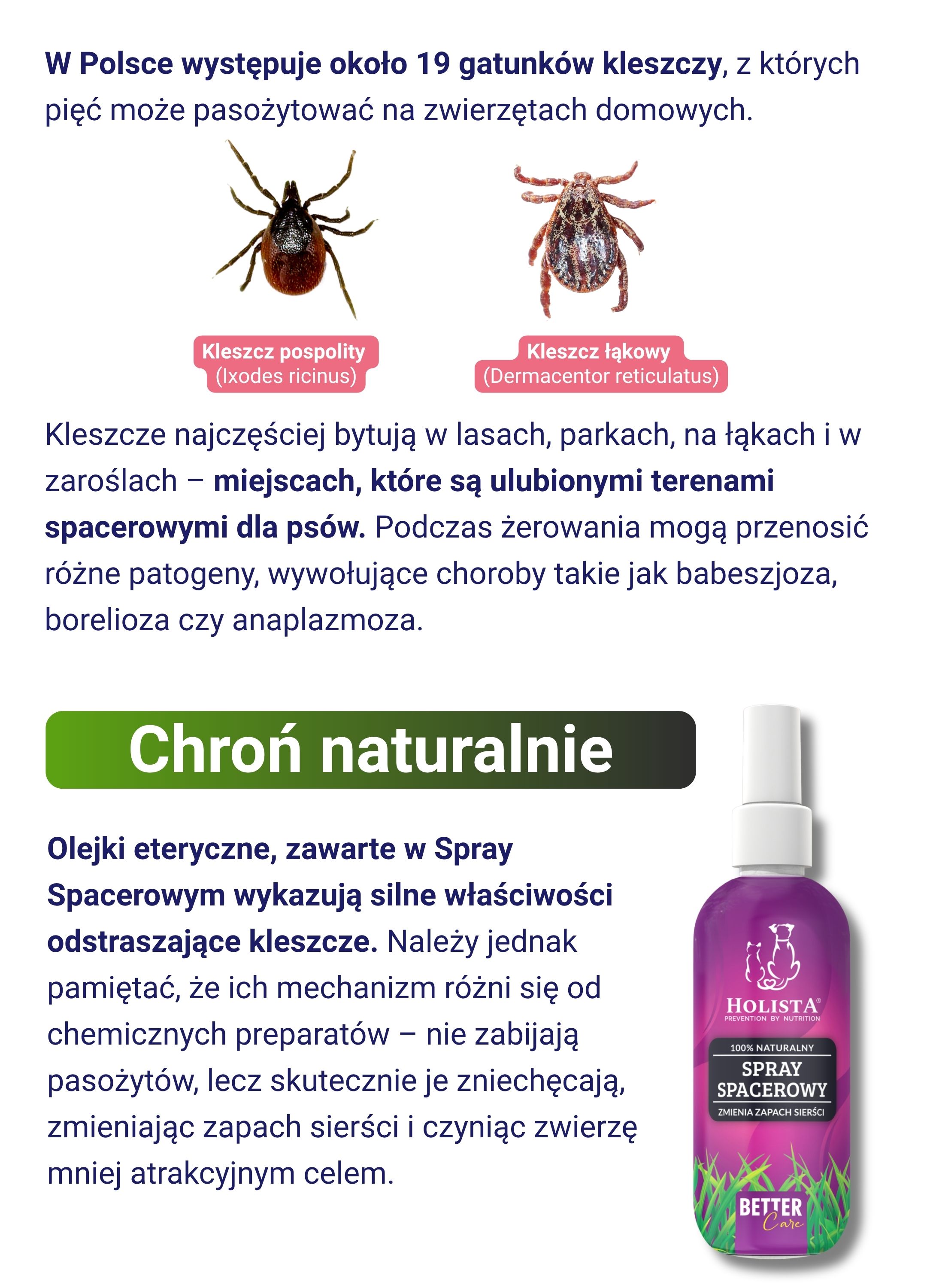 W Polsce występuje około 19 gatunków kleszczy, z których pięć może pasożytować na zwierzętach domowych.   Kleszcze najczęściej bytują w lasach, parkach, na łąkach i w zaroślach – miejscach, które są ulubionymi terenami spacerowymi dla psów. Podczas żerowania mogą przenosić różne patogeny, wywołujące choroby takie jak babeszjoza, borelioza czy anaplazmoza.  Chron naturalnie! Olejki eteryczne, zawarte w Spray Spacerowym wykazują silne właściwości odstraszające kleszcze. Należy jednak pamiętać, że ich mechanizm różni się od chemicznych preparatów – nie zabijają pasożytów, lecz skutecznie je zniechęcają, zmieniając zapach sierści i czyniąc zwierzę mniej atrakcyjnym celem.