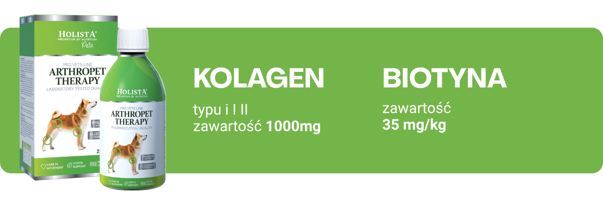jakość oleju (1).png