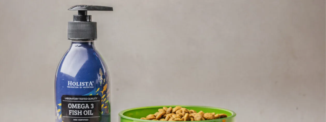 Omega-3 dla psów i kotów – dlaczego warto włączyć ten składnik do diety Twojego pupila?