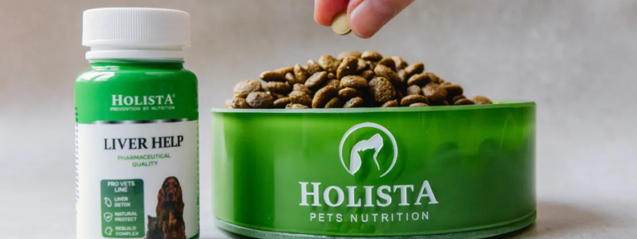 Jakie zioła warto stosować, aby wspierać zdrowie wątroby u zwierząt?