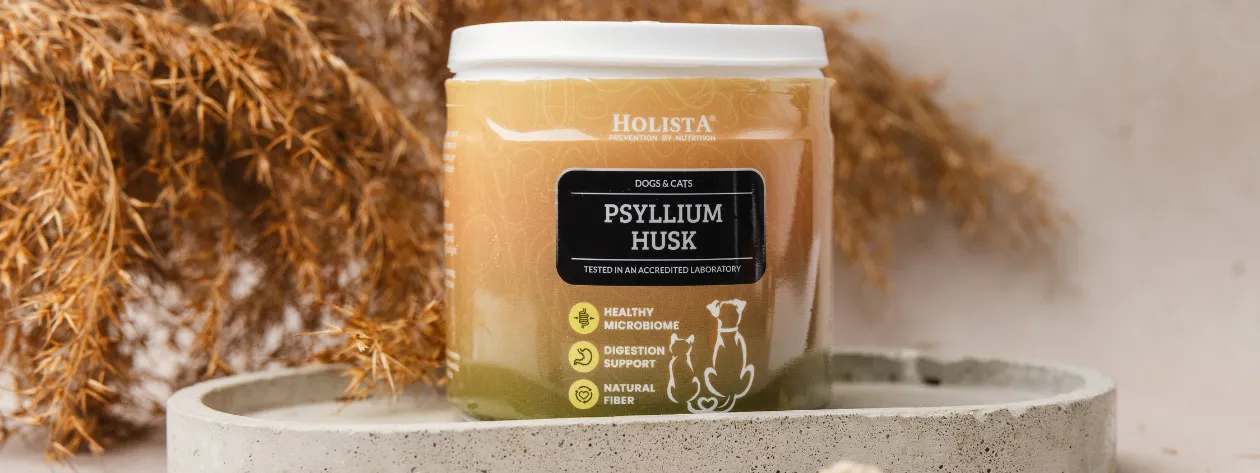 Psyllium husk i jego niezwykłe właściwości