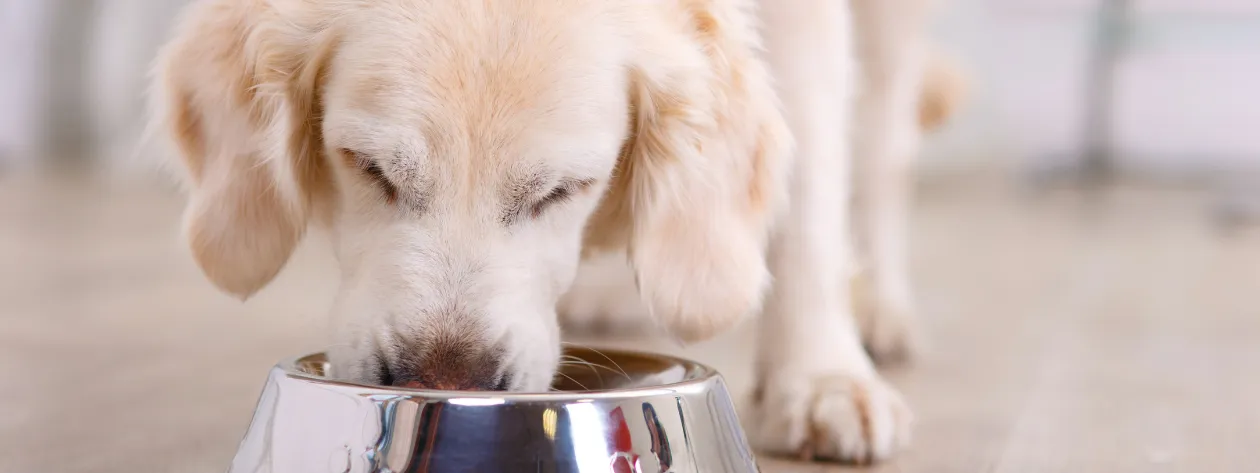 Tych błędów UNIKAJ w diecie gotowanej!