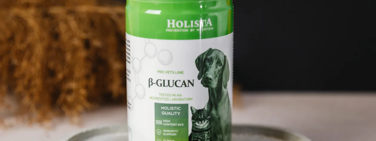 Beta-glukany w praktyce weterynaryjnej: zastosowanie i skuteczność u psów i kotów